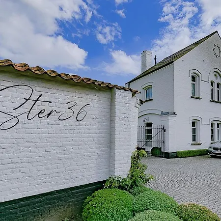 Ster 36 Villa