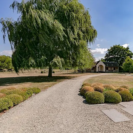 Ster 36 Villa Koekelare